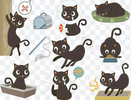 Pet 27 (cat set 02) Pet 27 (cat set 02)