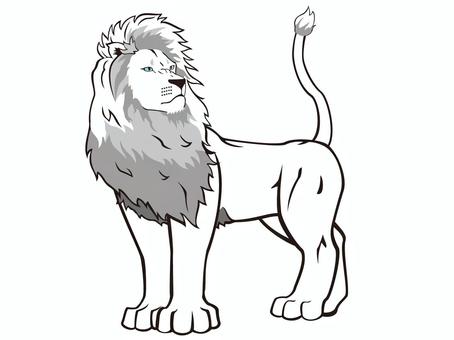 White Lion White Lion