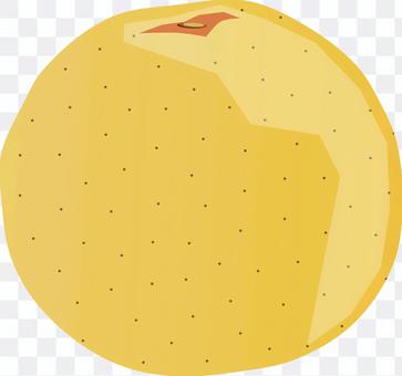 グレープルルーツ グレープルルーツ