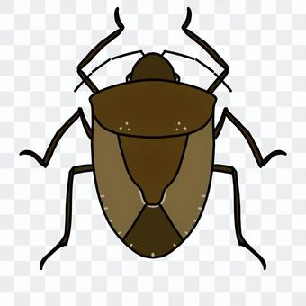 Stink bug Stink bug