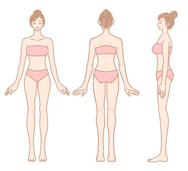 Female whole body (front / back / side set) Female whole body (front / back / side set)