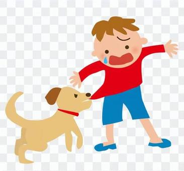 Pet training Pet training