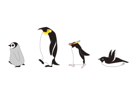 Animal 07_Penguins Animal 07_Penguins