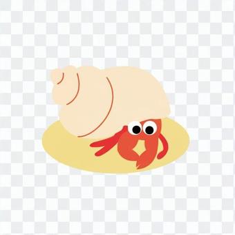 Hermit crab Hermit crab