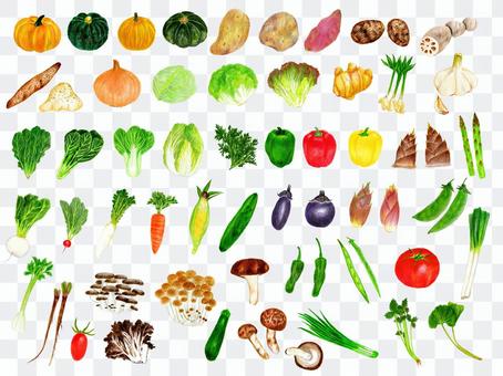Colored pencil vegetables summary Colored pencil vegetables summary