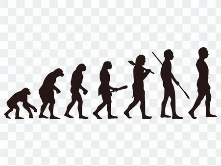 Human evolution Human evolution