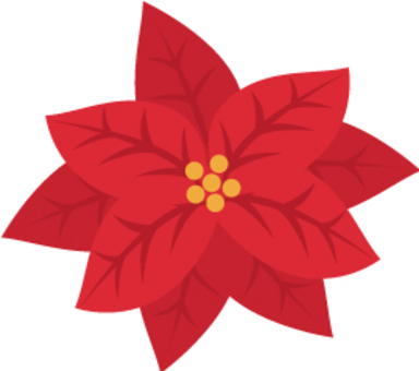 Poinsettia without leaves Poinsettia without leaves
