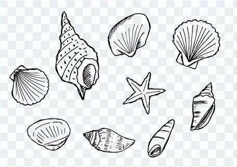 Seashell illustration set (black line) Seashell illustration set (black line)
