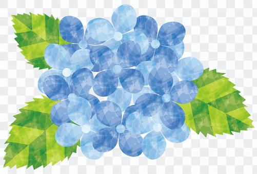 Hydrangea / blue Hydrangea / blue
