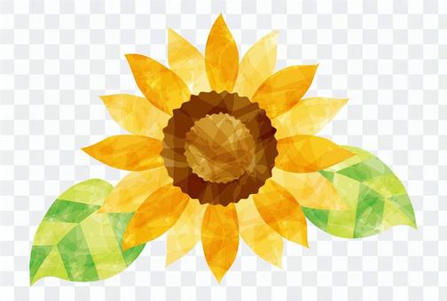 Summer / Sunflower Summer / Sunflower