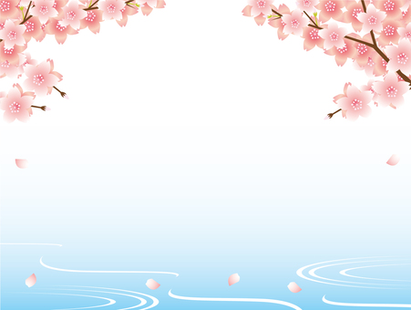 Cherry Blossoms Cherry Blossoms