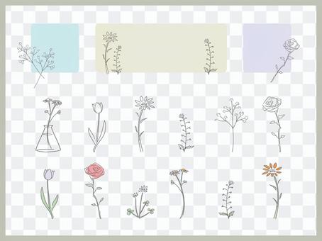 Spring simple flower Spring simple flower