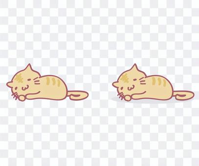 Cat / animal / 01 Cat / animal / 01
