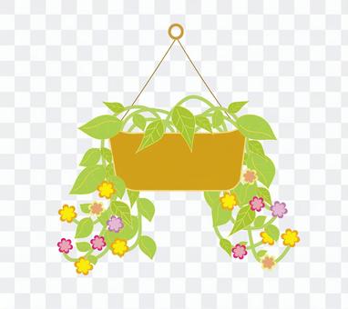 Potted plant (hanging) colorful Potted plant (hanging) colorful