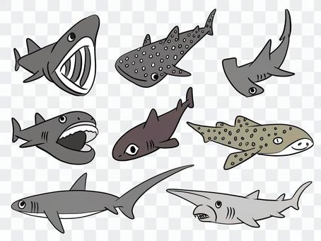 Various sharks 1 Various sharks 1