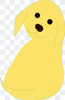 Golden retriever Golden retriever