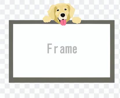 Golden retriever frame Golden retriever frame