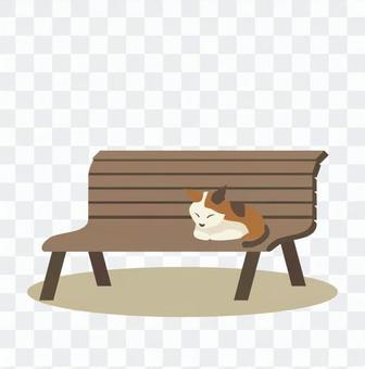 Bench and cat Bench and cat