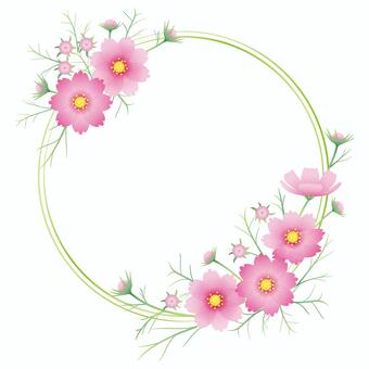 Cosmos decoration Cosmos decoration