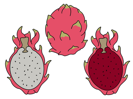 Dragon fruit Dragon fruit