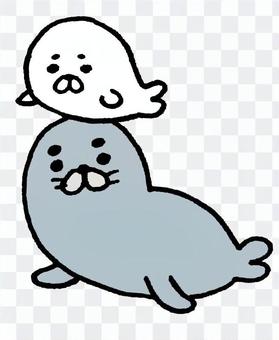 Seal seal Seal seal