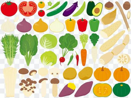 Various kinds of vegetables Various kinds of vegetables