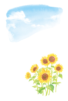 Summer greetings of summer sky and sunflower Postcard A Watercolor Summer greetings of summer sky and sunflower Postcard A Watercolor