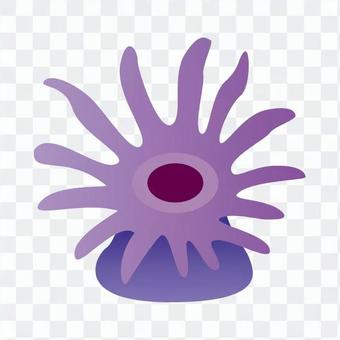 Purple い そ ぎ ん ち ゃ ku Purple い そ ぎ ん ち ゃ ku