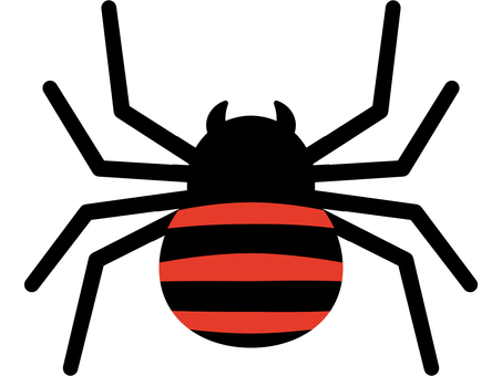 Spider with red stripes Spider with red stripes