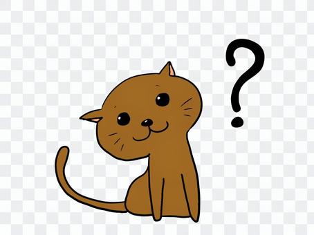 Cat Question Cat Question