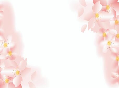 Spring, Tint block, Sakura, Flower Spring, Tint block, Sakura, Flower
