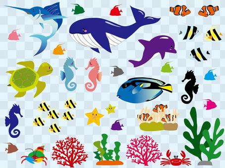 Sea creatures with no border line Sea creatures with no border line