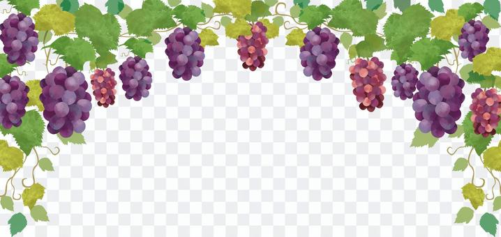 Watercolor frame of grapes Watercolor frame of grapes