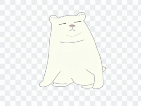 Cute polar bear Cute polar bear