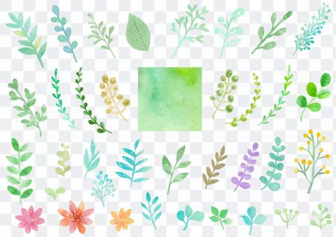 Watercolor material 049 Leaf set Watercolor material 049 Leaf set
