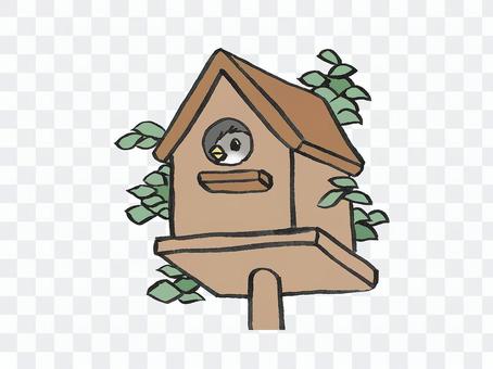 Wild bird chicks looking into their faces from the birdhouse Wild bird chicks looking into their faces from the birdhouse