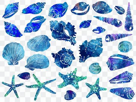 Illustration 002 Seashell Illustration 002 Seashell