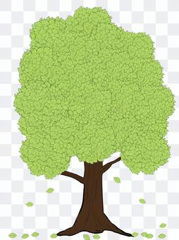 Street tree ⑤ Street tree ⑤