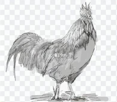 Chicken (monochrome) Chicken (monochrome)