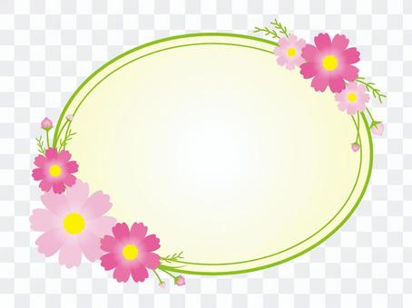 波斯菊圆框架 波斯菊圆框架