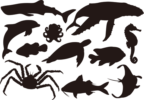 Sea creatures Sea creatures