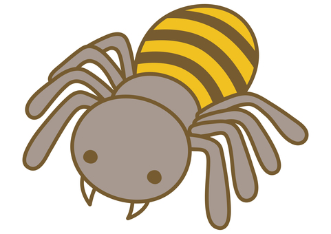 Cute spider illustration Cute spider illustration