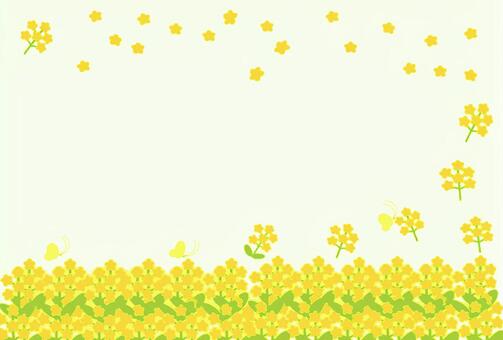 Rape blossoms ① Rape blossoms ①