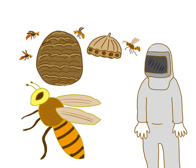 Bee & protective clothing Bee & protective clothing