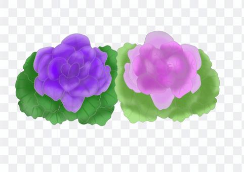 Leaf peony Leaf peony