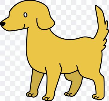 Dog (Golden) Dog (Golden)