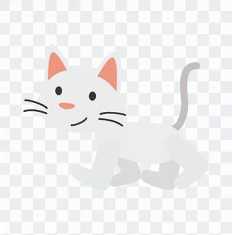Cat - walking cat Cat - walking cat