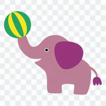 Circus Elephant Circus Elephant