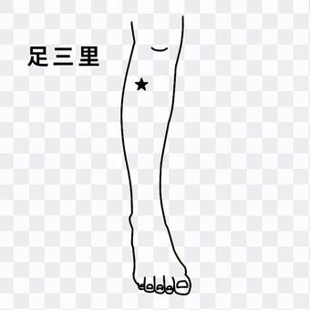 足のつぼ-足三里_白黒 足のつぼ-足三里_白黒