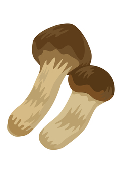 Autumn taste Matsutake mushroom Autumn taste Matsutake mushroom